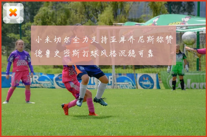 小米切尔全力支持亚库乔尼斯称赞德鲁史密斯打球风格沉稳可靠